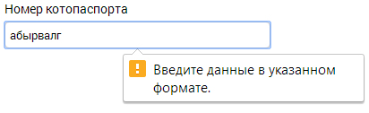 Поле с неправильно введёнными данными в Chrome
